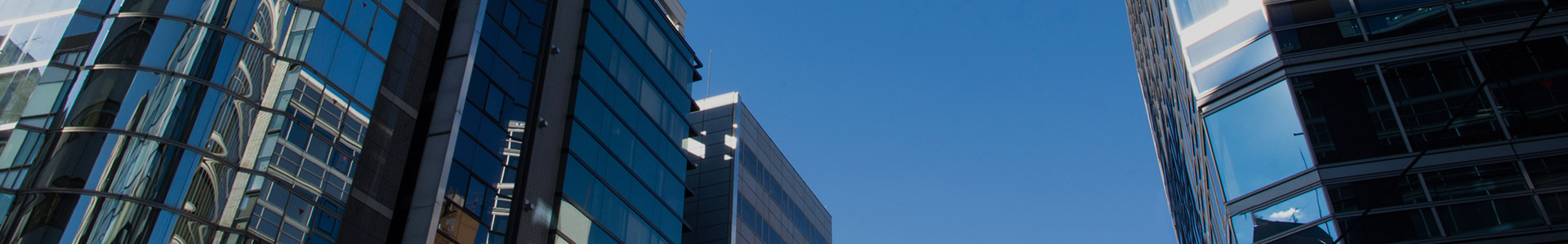 企業菠萝蜜成人网站